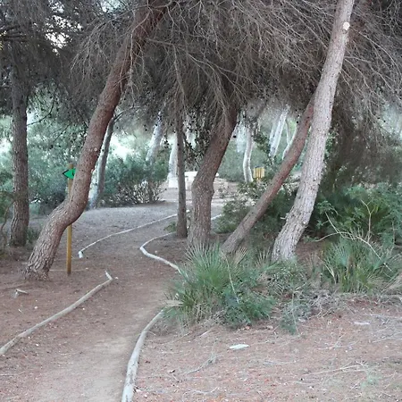 New With Sea View Of Andrew And Natallia * Dehesa de Campoamor